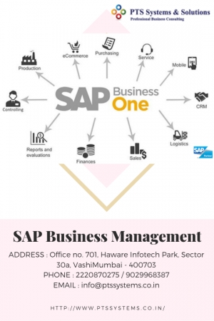 Advantage Of Sap Business Management 